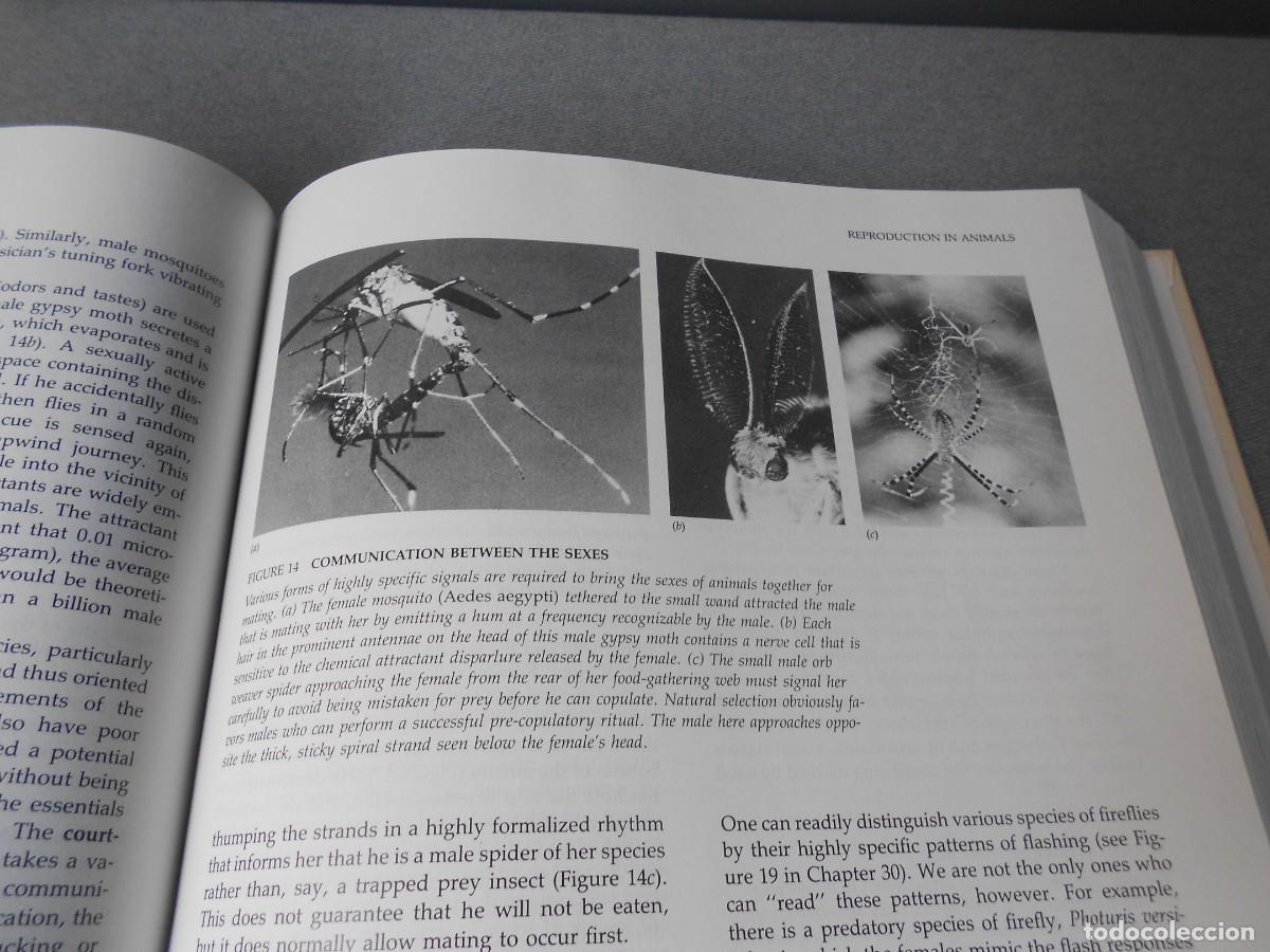 Libros de segunda mano: LIFE - Foto 11