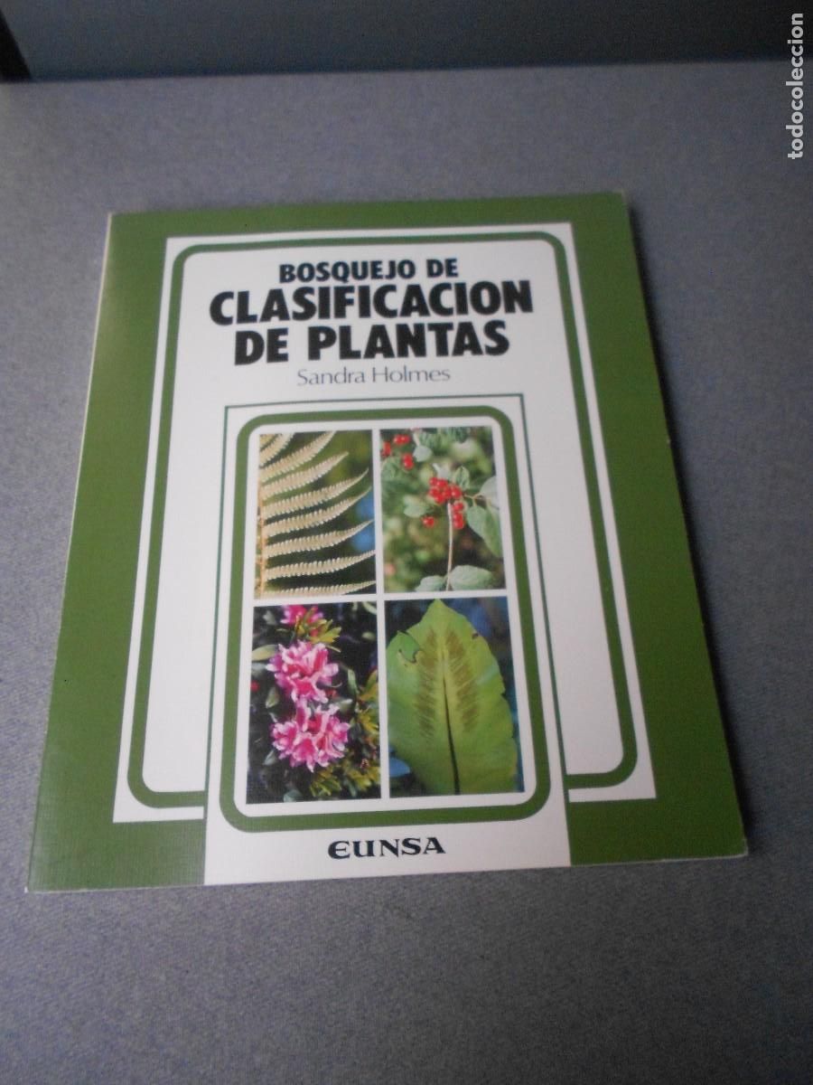 Libros de segunda mano: BOSQUEJO DE CLASIFICACION DE PLANTAS - Foto 1