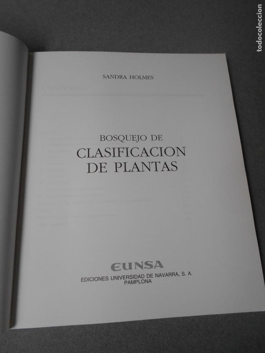 Libros de segunda mano: BOSQUEJO DE CLASIFICACION DE PLANTAS - Foto 2
