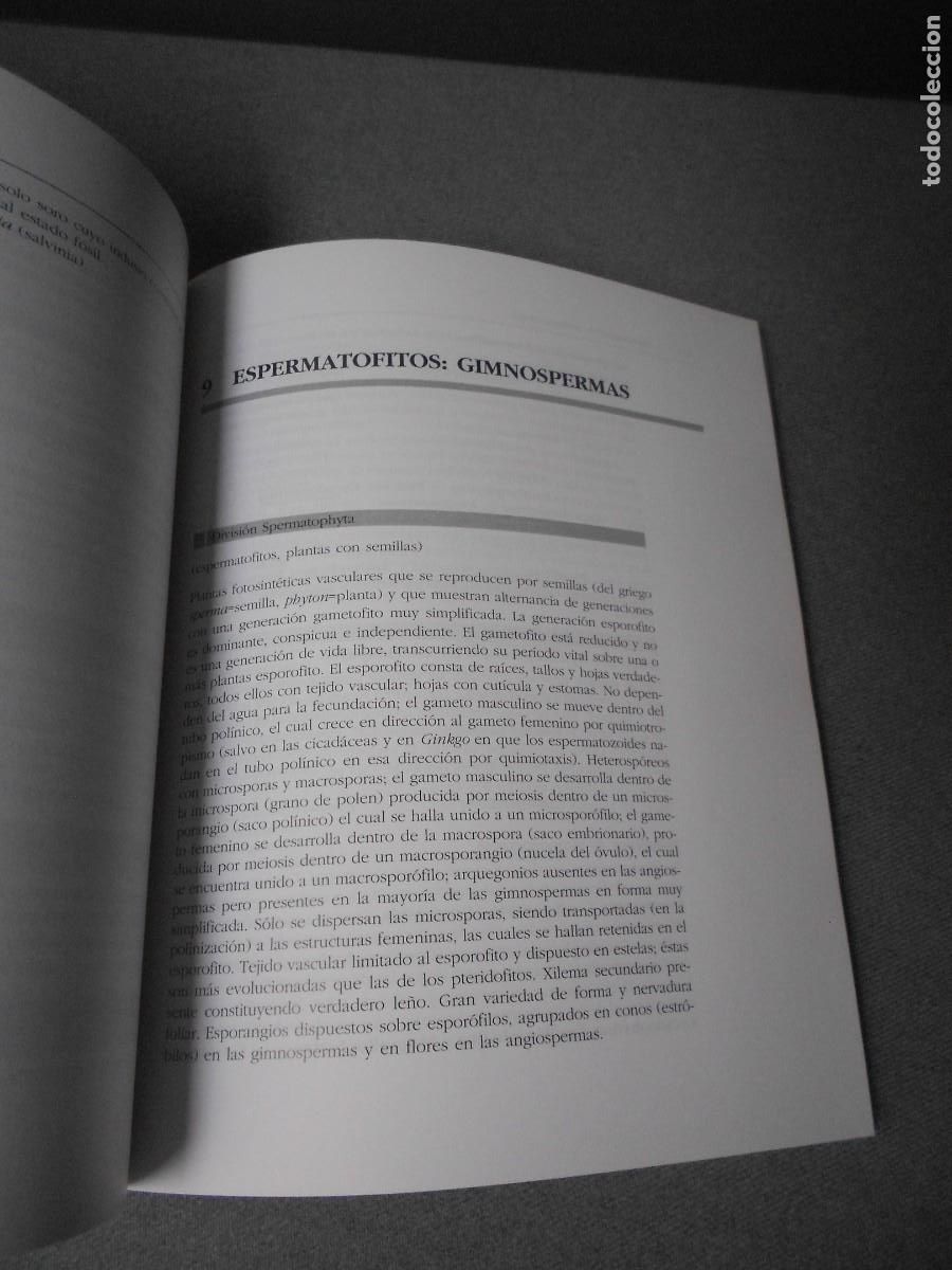 Libros de segunda mano: BOSQUEJO DE CLASIFICACION DE PLANTAS - Foto 3