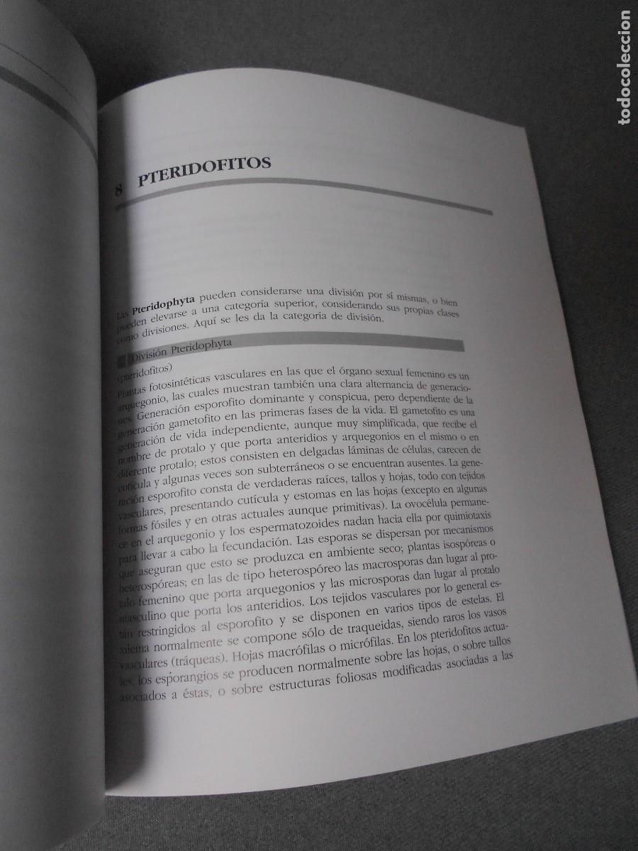 Libros de segunda mano: BOSQUEJO DE CLASIFICACION DE PLANTAS - Foto 4