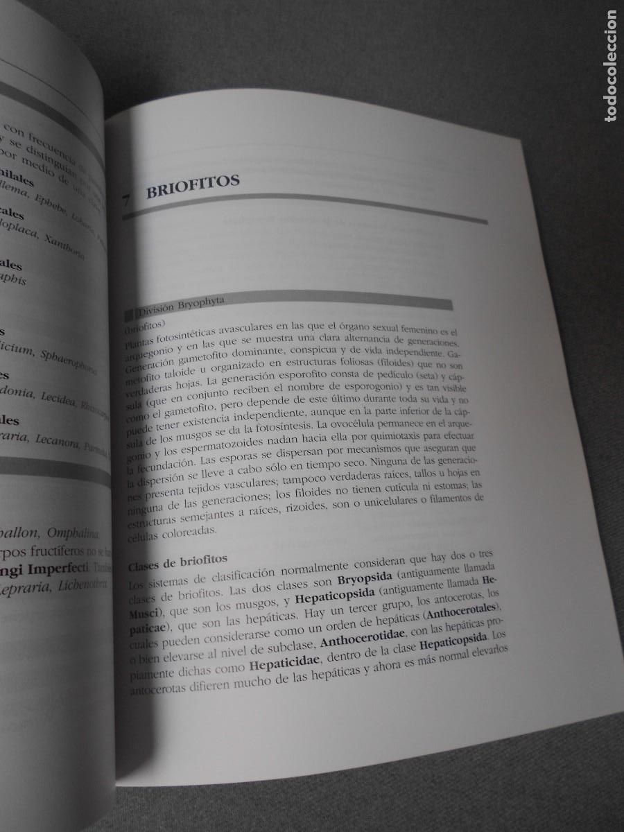 Libros de segunda mano: BOSQUEJO DE CLASIFICACION DE PLANTAS - Foto 5