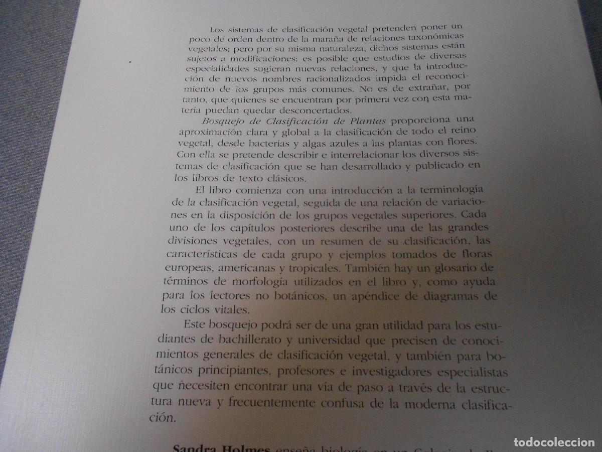 Libros de segunda mano: BOSQUEJO DE CLASIFICACION DE PLANTAS - Foto 7