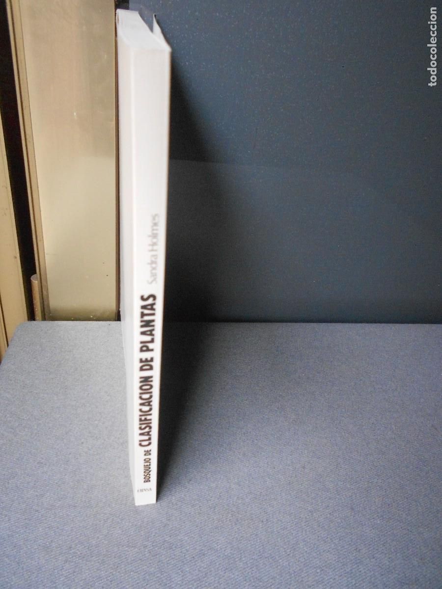 Libros de segunda mano: BOSQUEJO DE CLASIFICACION DE PLANTAS - Foto 8