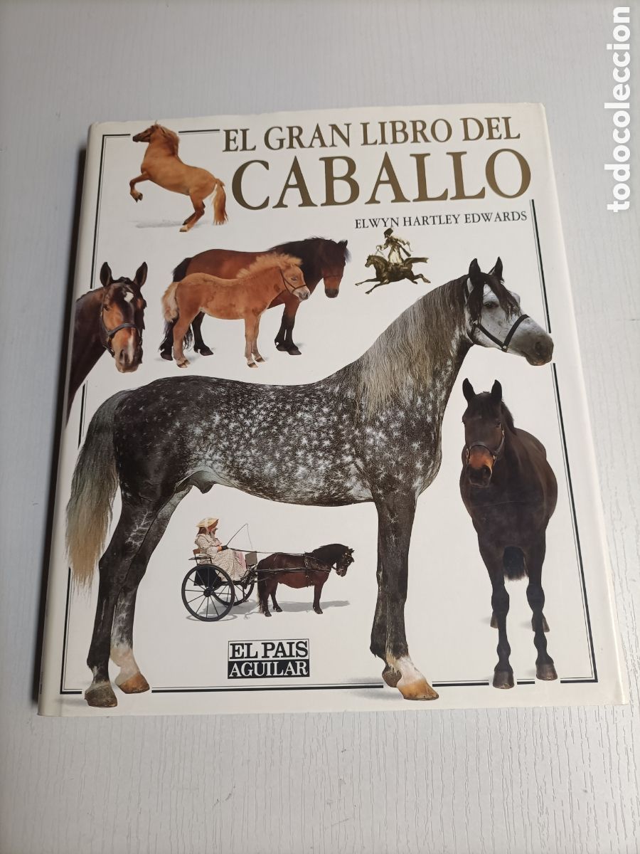 Libros de segunda mano: El gran libro del caballo. ........ ENV&Iacute;O GRATIS CERT ESPA&Ntilde;A PEN&Iacute;NSULA .......... Elwyn Hartley . - Foto 2