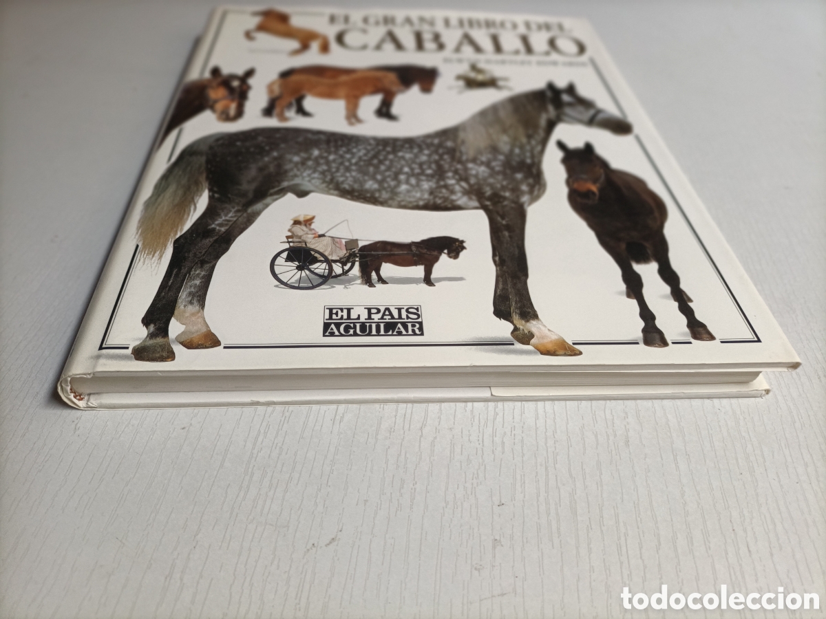 Libros de segunda mano: El gran libro del caballo. ........ ENV&Iacute;O GRATIS CERT ESPA&Ntilde;A PEN&Iacute;NSULA .......... Elwyn Hartley . - Foto 3