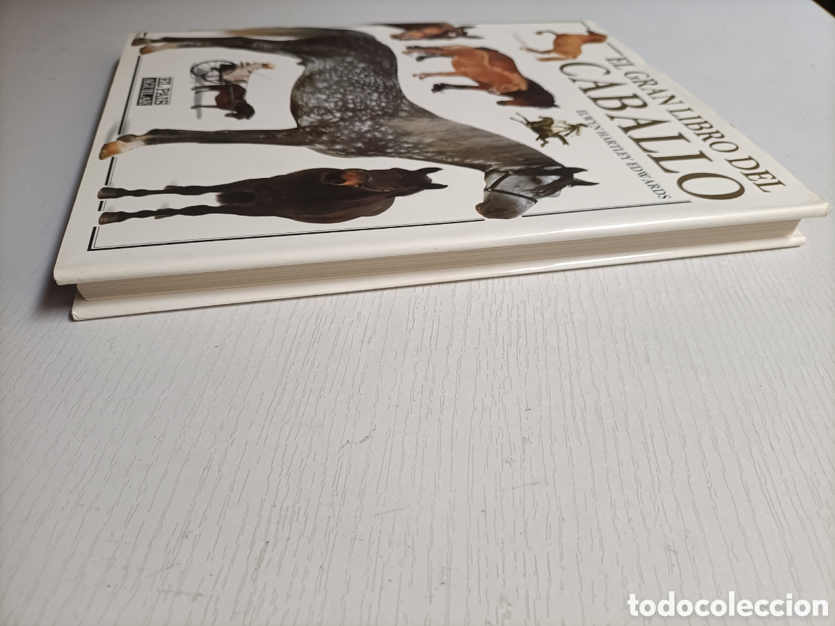 Libros de segunda mano: El gran libro del caballo. ........ ENV&Iacute;O GRATIS CERT ESPA&Ntilde;A PEN&Iacute;NSULA .......... Elwyn Hartley . - Foto 4