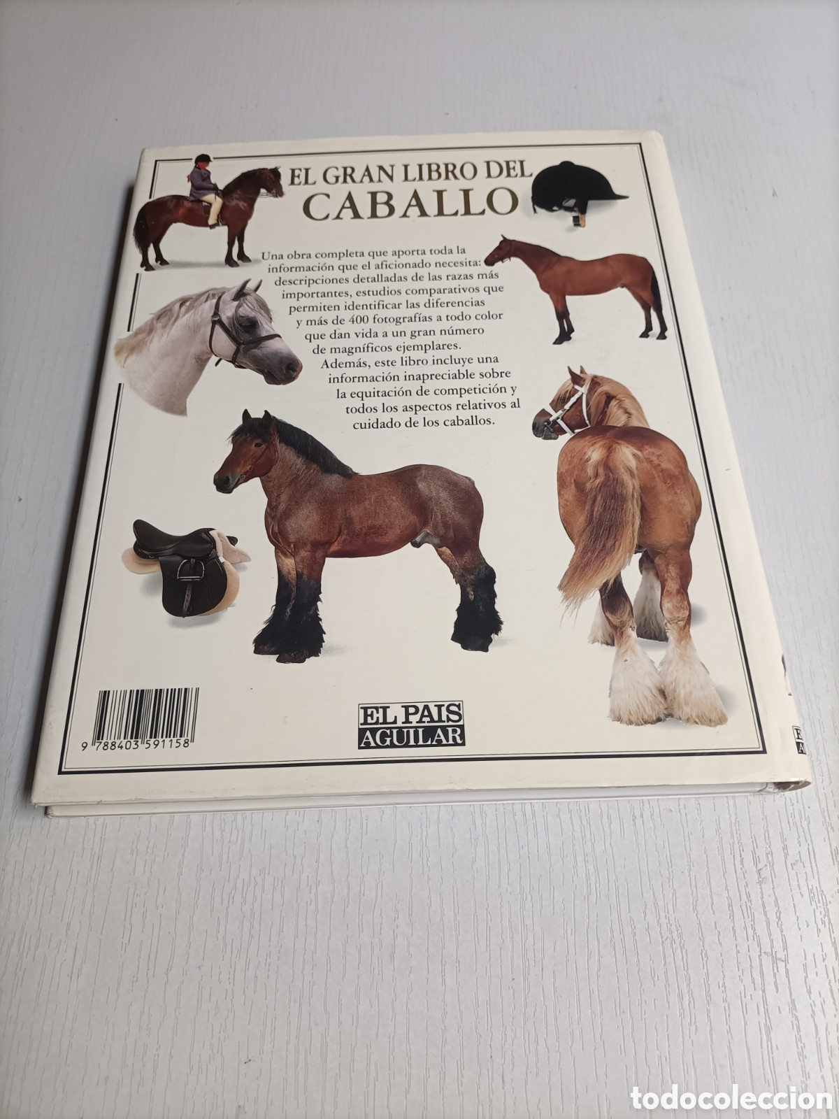 Libros de segunda mano: El gran libro del caballo. ........ ENV&Iacute;O GRATIS CERT ESPA&Ntilde;A PEN&Iacute;NSULA .......... Elwyn Hartley . - Foto 5
