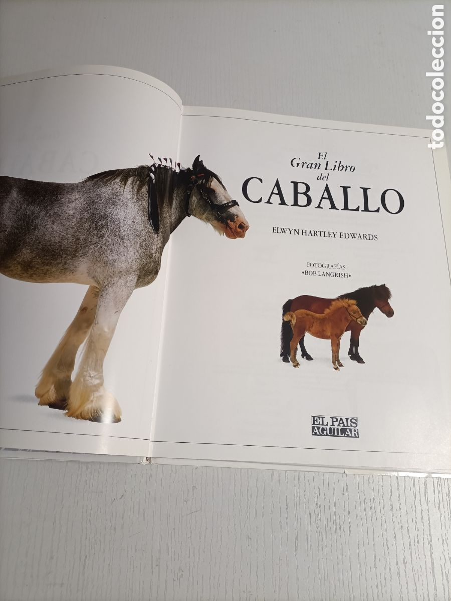 Libros de segunda mano: El gran libro del caballo. ........ ENV&Iacute;O GRATIS CERT ESPA&Ntilde;A PEN&Iacute;NSULA .......... Elwyn Hartley . - Foto 6