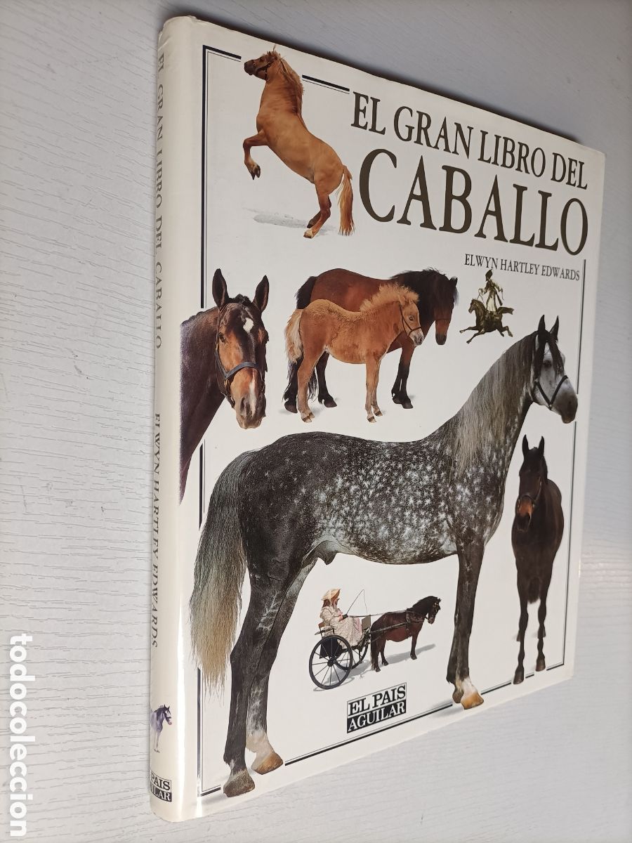 Libros de segunda mano: El gran libro del caballo. ........ ENV&Iacute;O GRATIS CERT ESPA&Ntilde;A PEN&Iacute;NSULA .......... Elwyn Hartley . - Foto 1