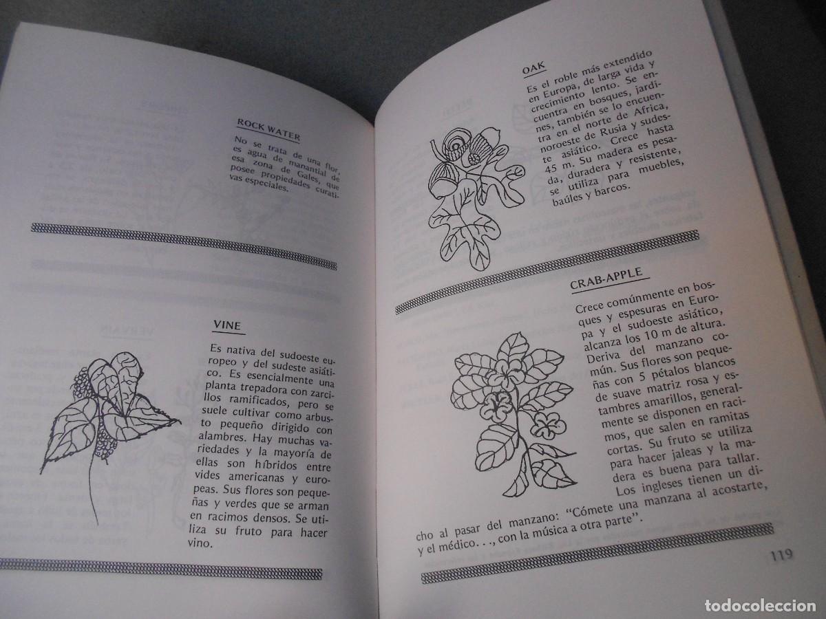 Libros de segunda mano: FLORES DE BACH - Foto 8