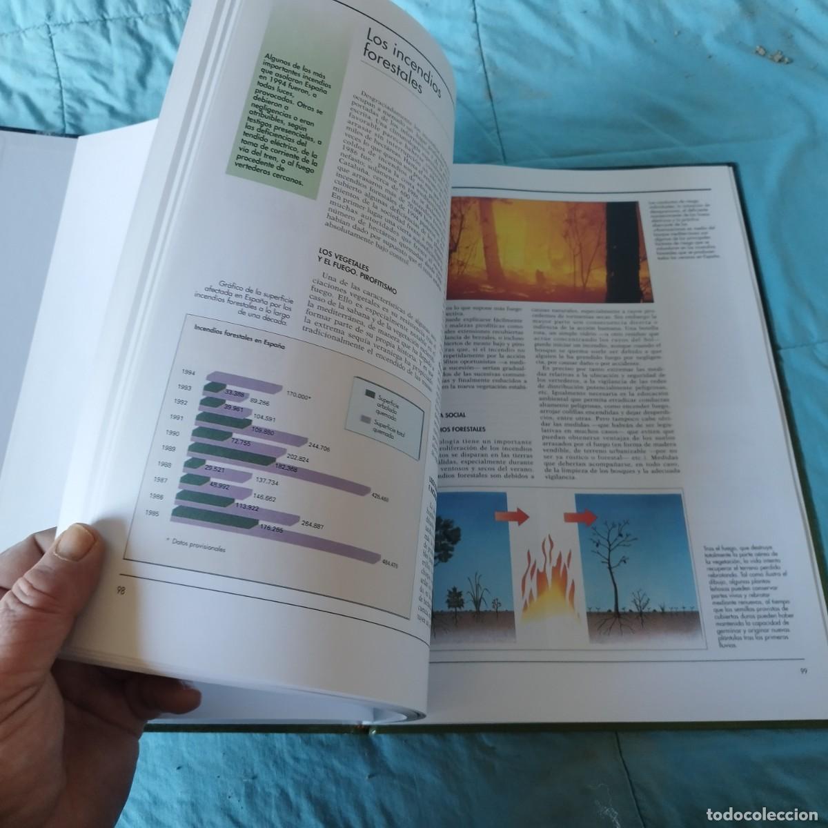 Libros de segunda mano: ATLAS MEDIO AMBIENTE / / GRAVOL 24 AUPPER / - Foto 4
