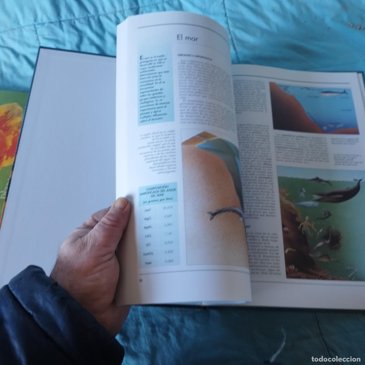 Libros de segunda mano: ATLAS ECOLOGIA / / GRAVOL 24 AUPPER - Foto 5