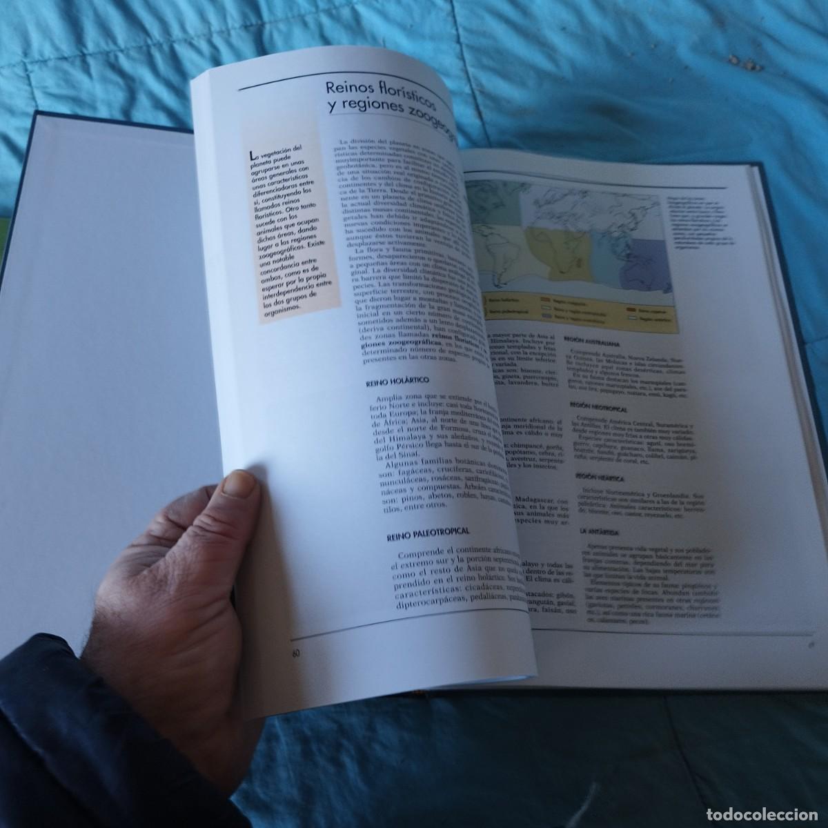 Libros de segunda mano: ATLAS ECOLOGIA / / GRAVOL 24 AUPPER - Foto 6