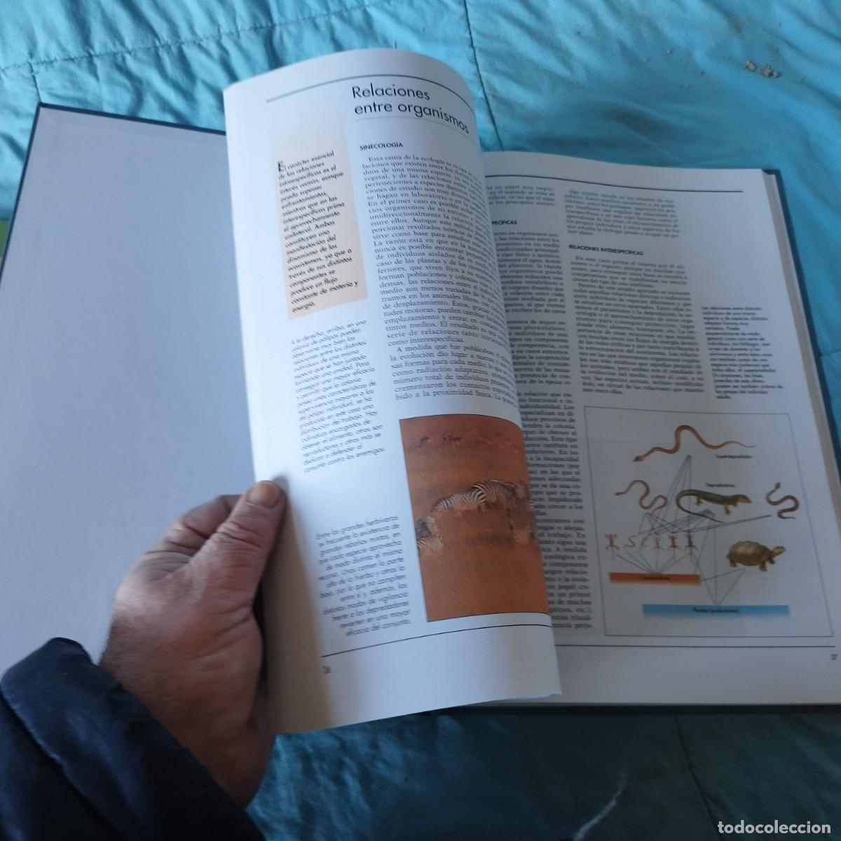 Libros de segunda mano: ATLAS ECOLOGIA / / GRAVOL 24 AUPPER - Foto 7
