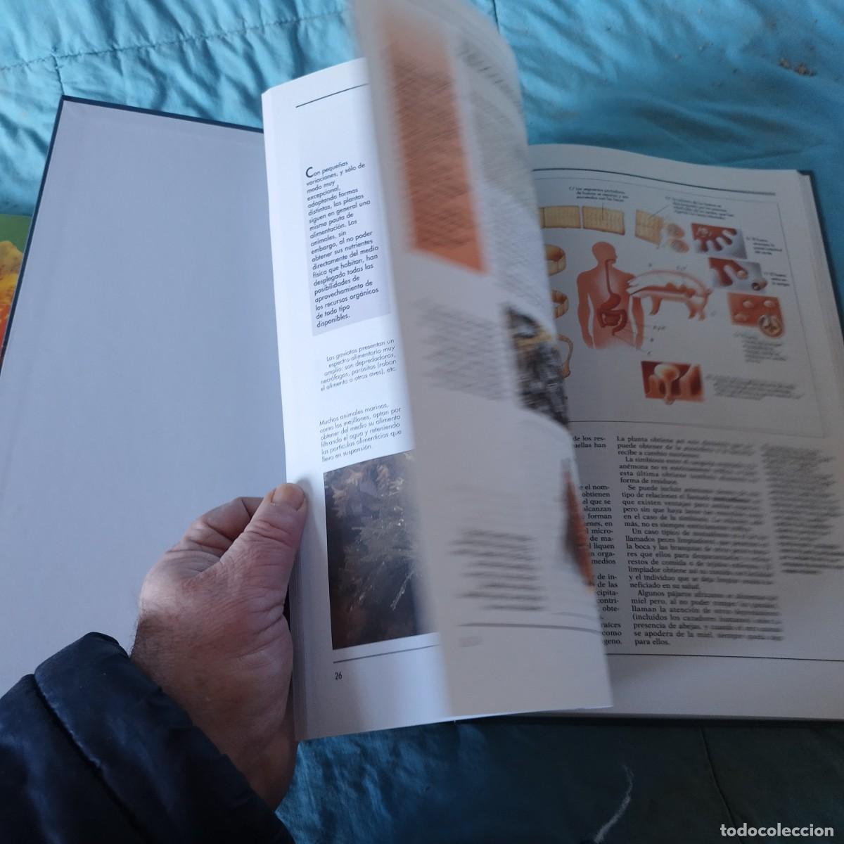 Libros de segunda mano: ATLAS ECOLOGIA / / GRAVOL 24 AUPPER - Foto 8
