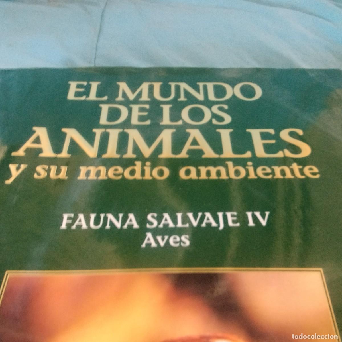 Libros de segunda mano: FAUNA SALVAJE IV AVES / GRAVOL 29 / PLANETA - Foto 3