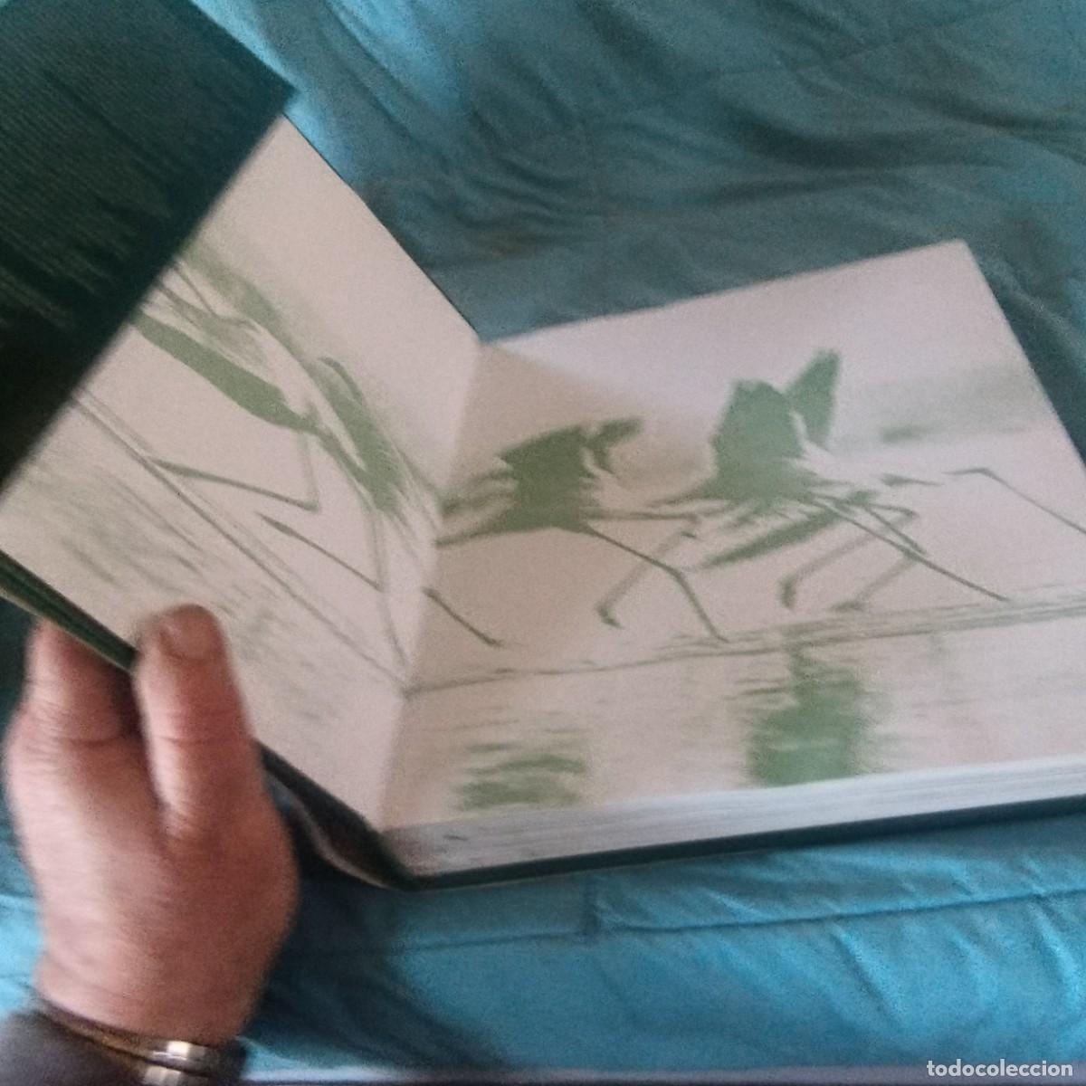 Libros de segunda mano: FAUNA SALVAJE IV AVES / GRAVOL 29 / PLANETA - Foto 4