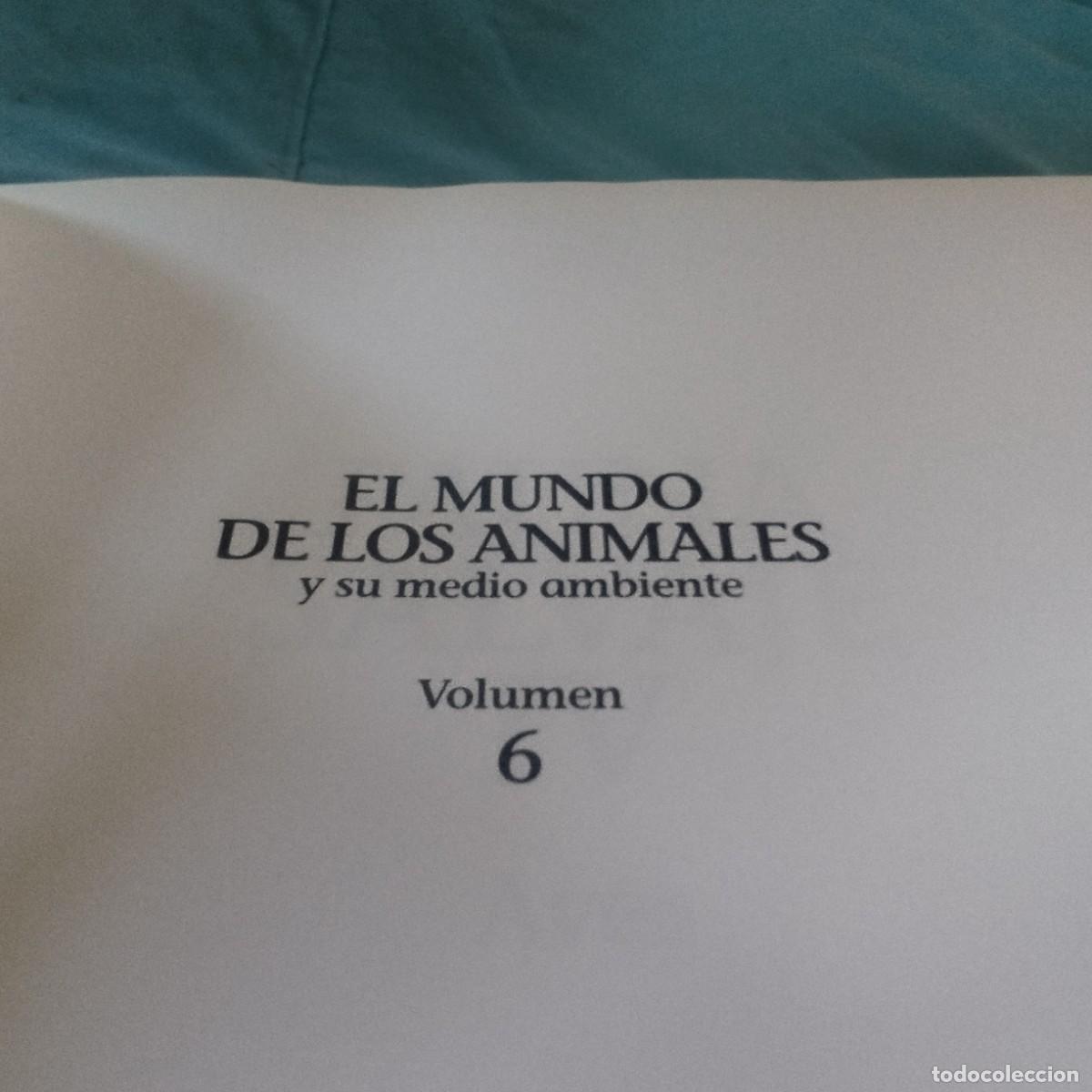 Libros de segunda mano: FAUNA SALVAJE IV AVES / GRAVOL 29 / PLANETA - Foto 5