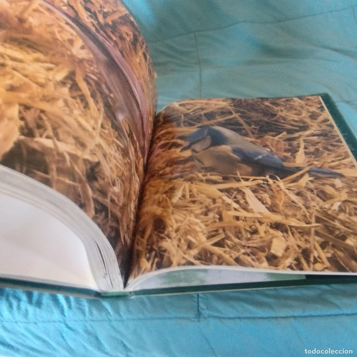 Libros de segunda mano: FAUNA SALVAJE IV AVES / GRAVOL 29 / PLANETA - Foto 6