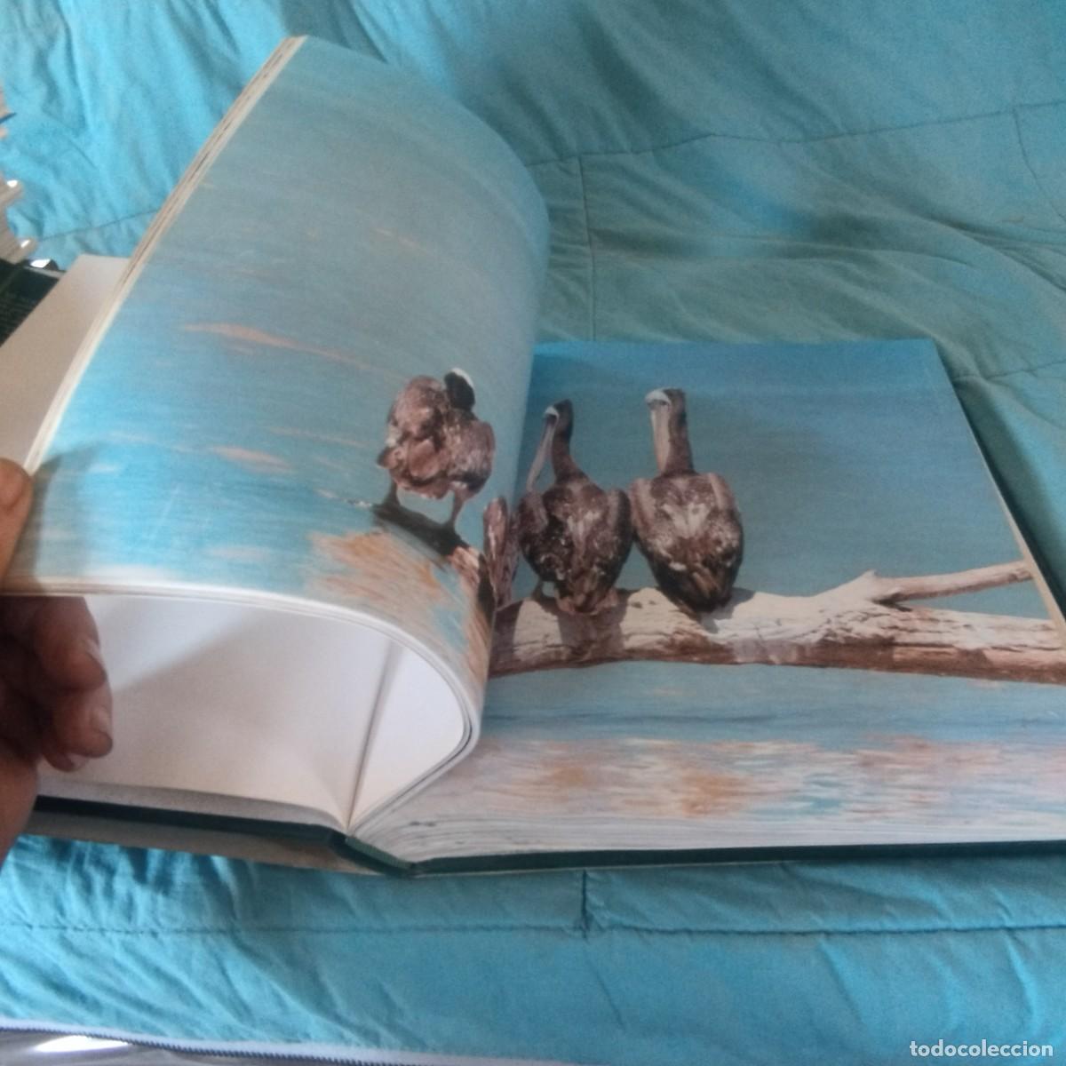 Libros de segunda mano: FAUNA SALVAJE IV AVES / GRAVOL 29 / PLANETA - Foto 10