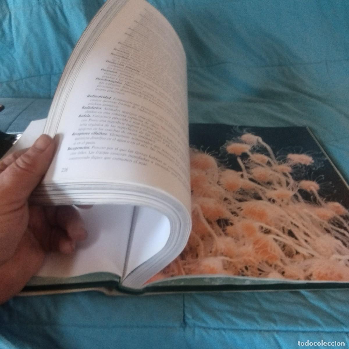 Libros de segunda mano: MUNDO SUBMARINO II / GRAVOL 29 / PLANETA - Foto 6