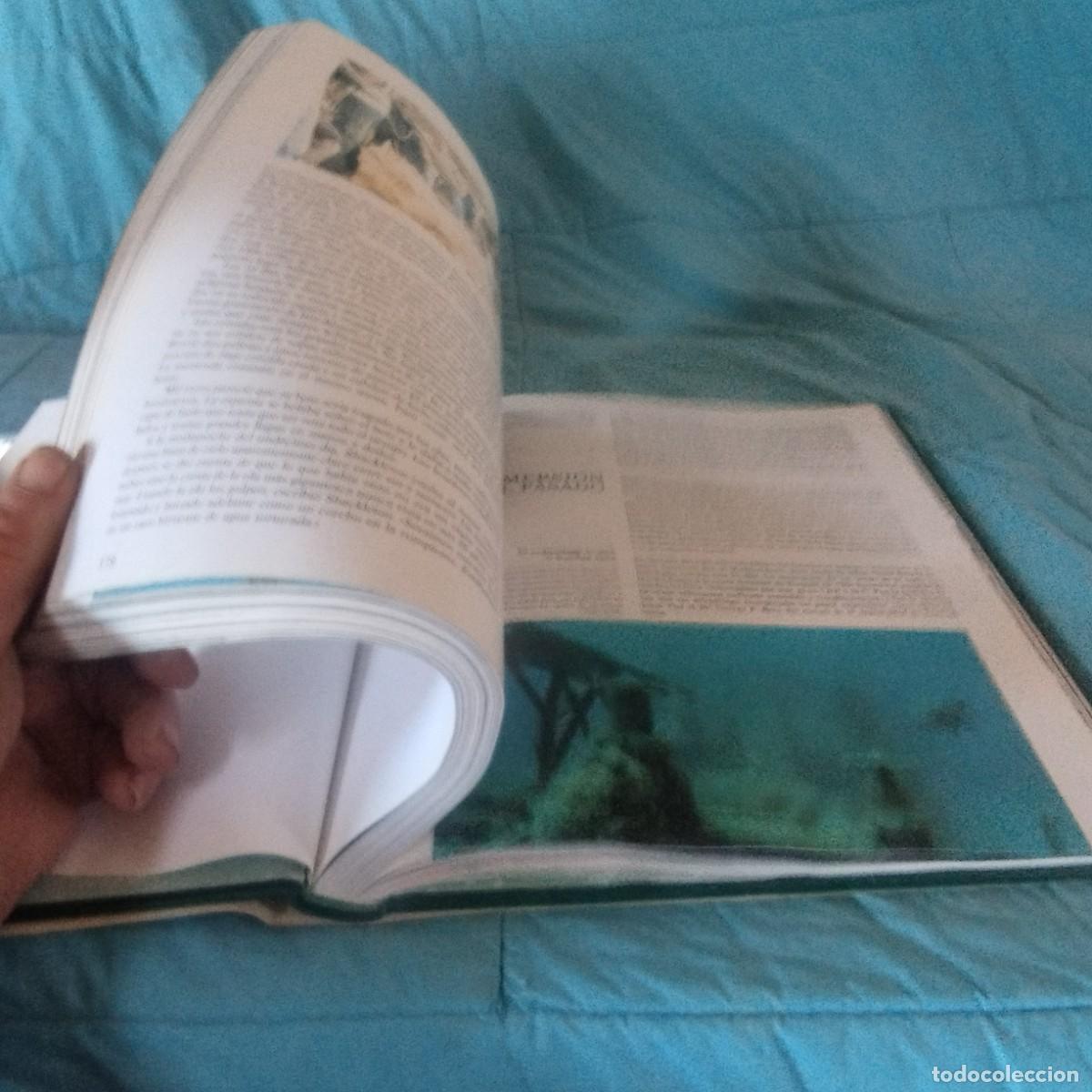 Libros de segunda mano: MUNDO SUBMARINO II / GRAVOL 29 / PLANETA - Foto 7