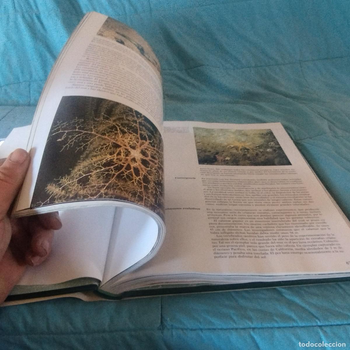 Libros de segunda mano: MUNDO SUBMARINO II / GRAVOL 29 / PLANETA - Foto 9