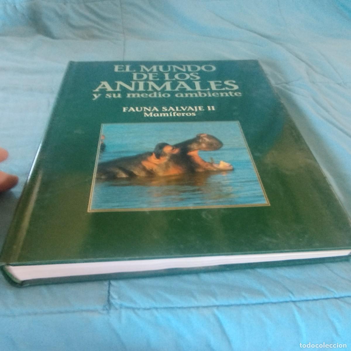 Libros de segunda mano: FAUNA SALVAJE II MAMIFEROS / GRAVOL 29 / PLANETA - Foto 2