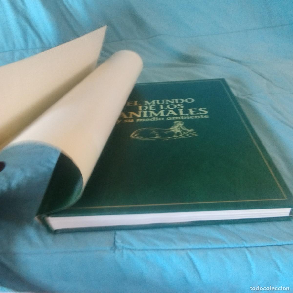 Libros de segunda mano: FAUNA SALVAJE II MAMIFEROS / GRAVOL 29 / PLANETA - Foto 3