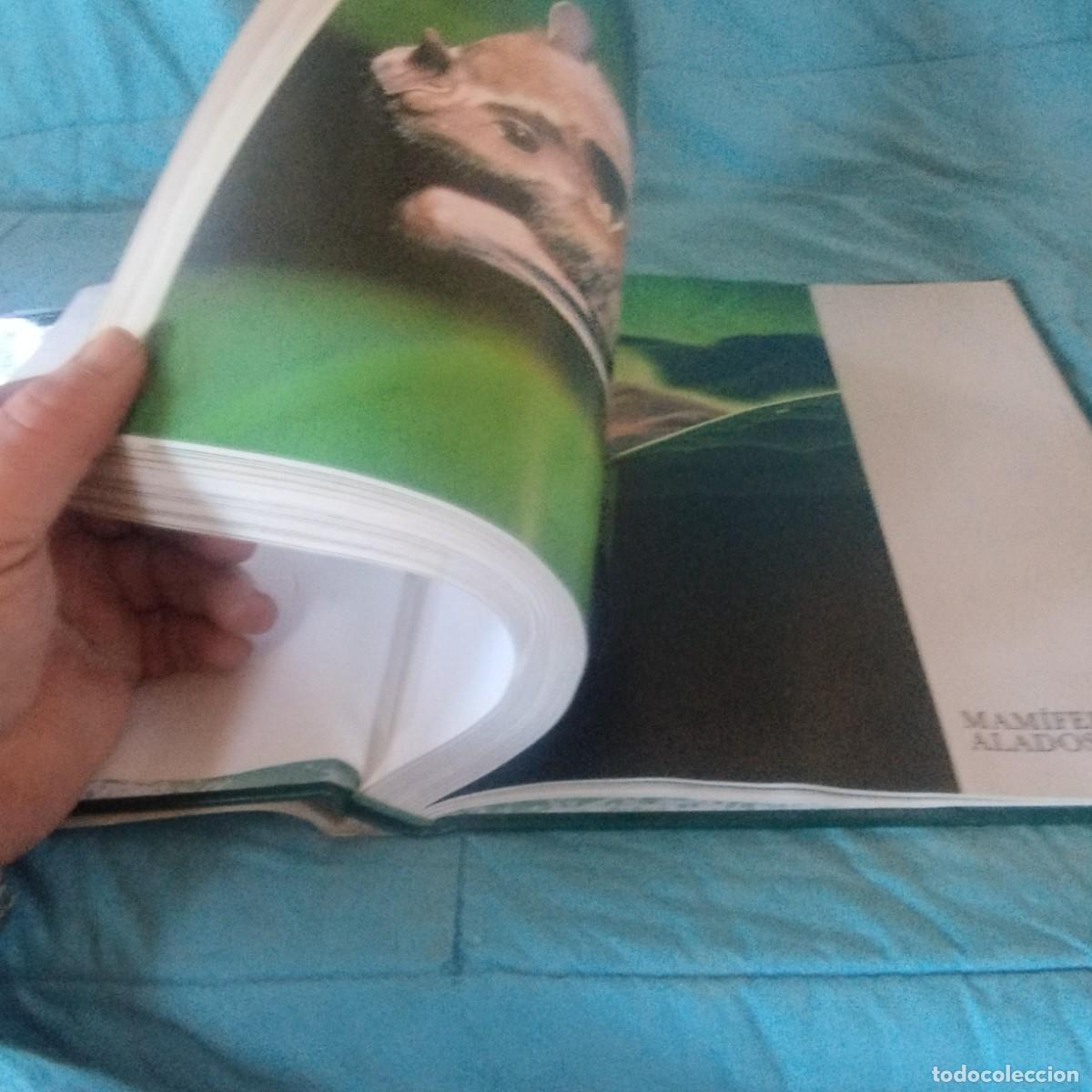 Libros de segunda mano: FAUNA SALVAJE II MAMIFEROS / GRAVOL 29 / PLANETA - Foto 5