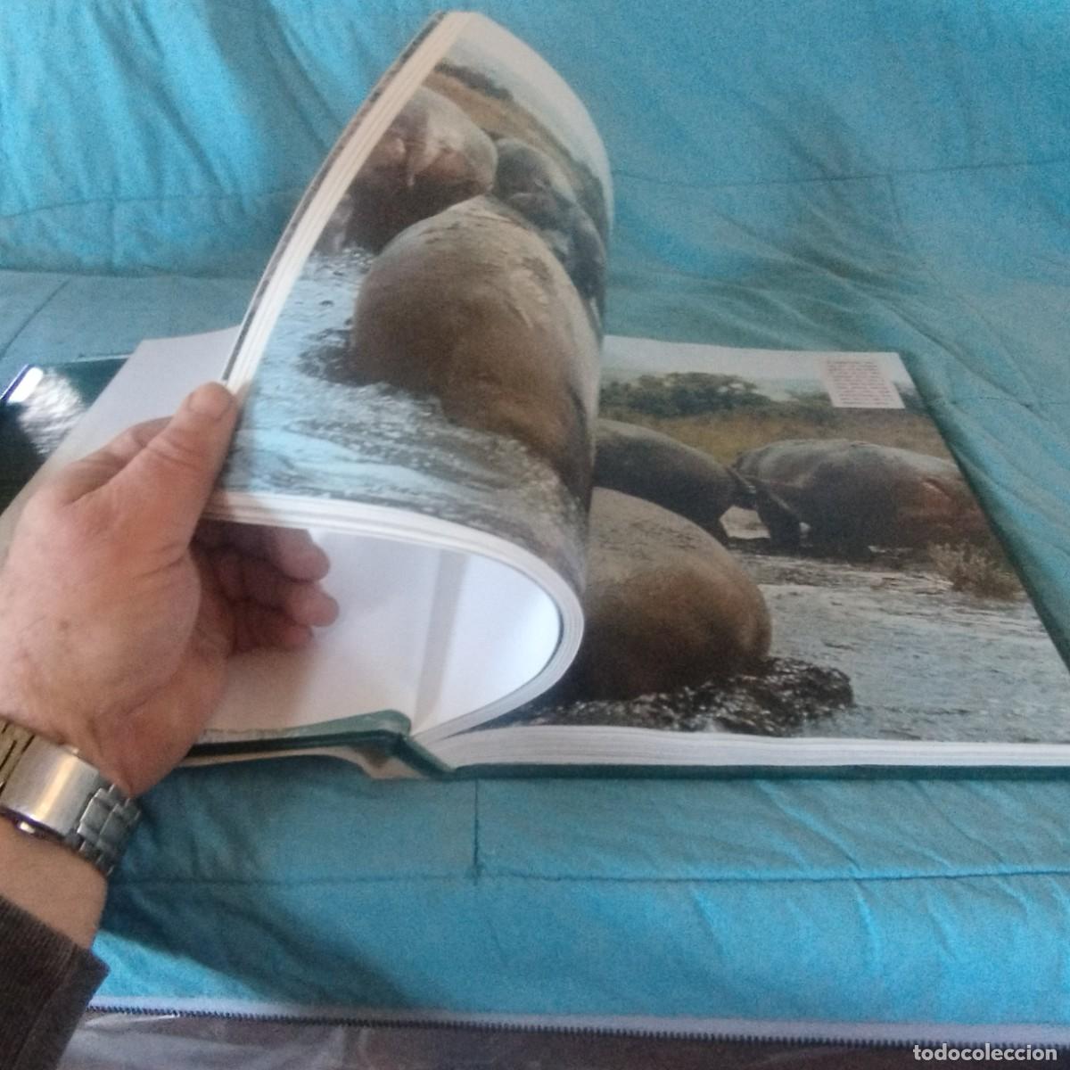Libros de segunda mano: FAUNA SALVAJE II MAMIFEROS / GRAVOL 29 / PLANETA - Foto 8