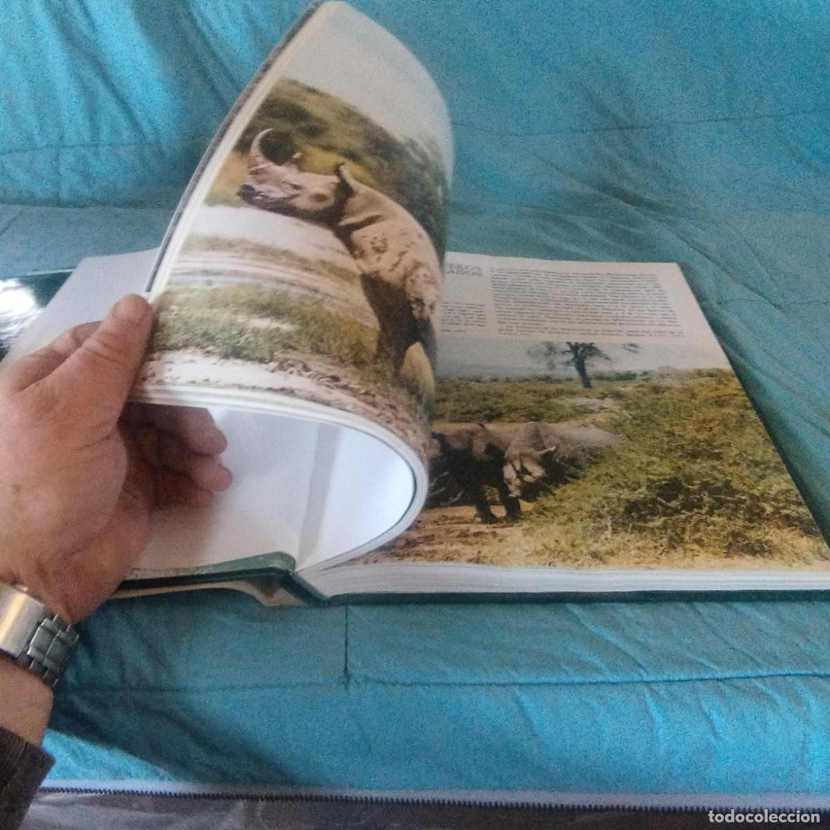 Libros de segunda mano: FAUNA SALVAJE II MAMIFEROS / GRAVOL 29 / PLANETA - Foto 9