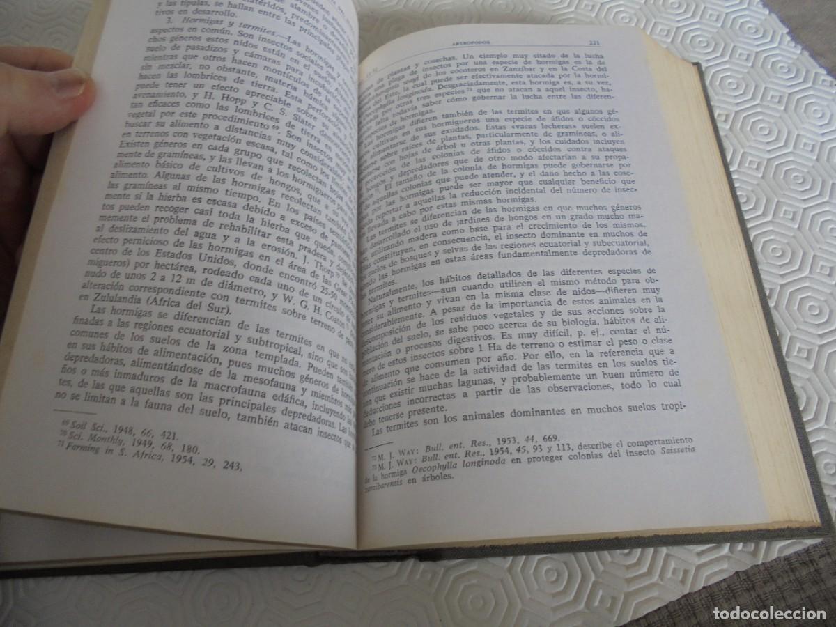 Libros de segunda mano: LAS CONDICIONES DEL SUELO Y EL CRECIMIENTO DE LAS PLANTAS. SIR E. JOHN RUSSELL Y E. WALTER RUSSELL. - Foto 5