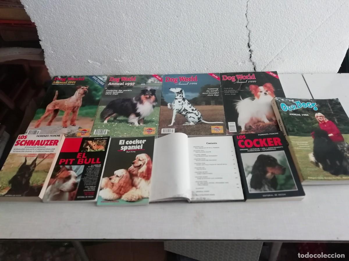 Libri di seconda mano: Lote 5 anuarios sobre perros &ldquo;Dog world&rdquo; y &ldquo;Our dogs&rdquo;, raros (1986-1999) + 5 libros REGALO