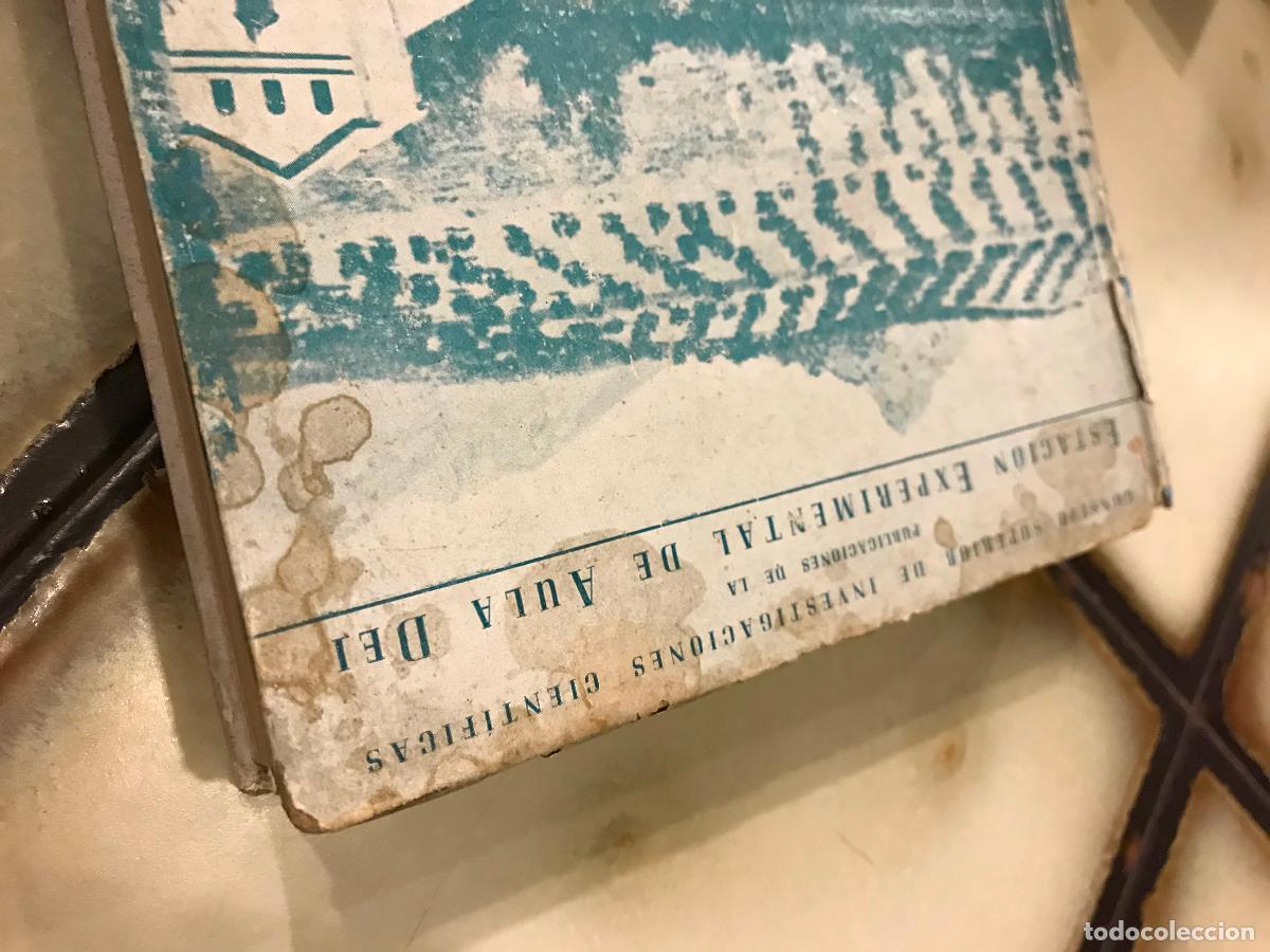 Libros de segunda mano: Cr&iacute;a de frutales. A. Acerete. Estaci&oacute;n experimental de Aula Dei. 1949 - Foto 3