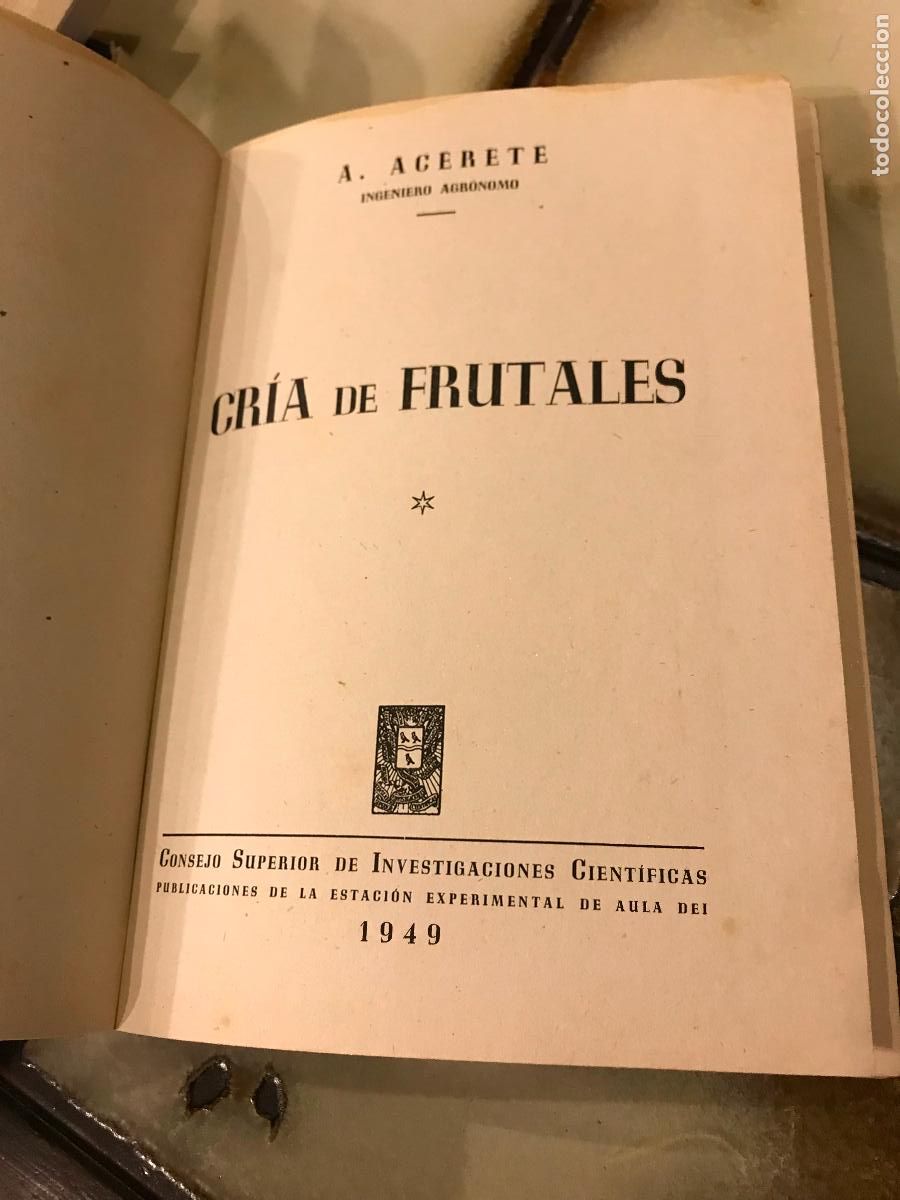 Libros de segunda mano: Cr&iacute;a de frutales. A. Acerete. Estaci&oacute;n experimental de Aula Dei. 1949 - Foto 4