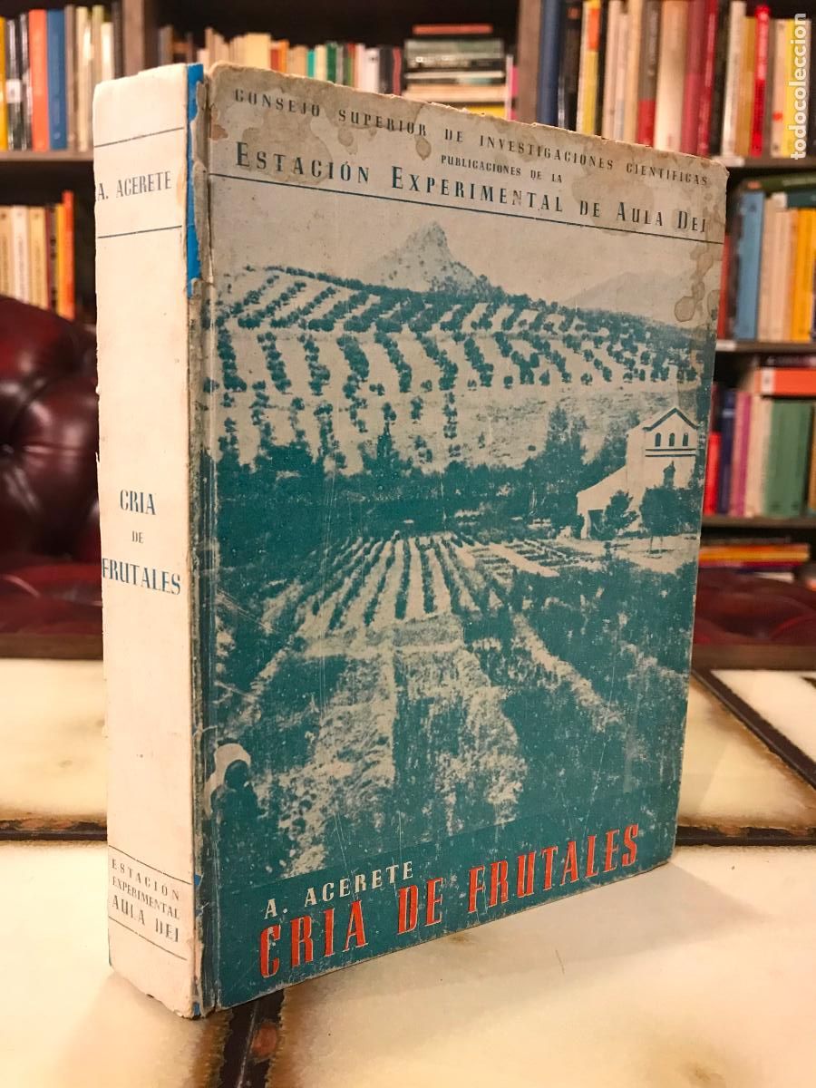 Libros de segunda mano: Cr&iacute;a de frutales. A. Acerete. Estaci&oacute;n experimental de Aula Dei. 1949 - Foto 1