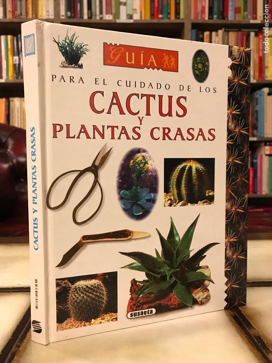 Libros de segunda mano: Gu&iacute;a para el cuidado de los cactus y plantas crasas. - Foto 1