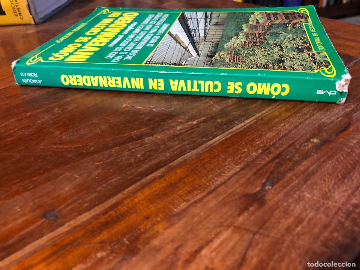Libros de segunda mano: COMO SE CULTIVA EN INVERNADERO - JOAQUIN ROBLES - Foto 2