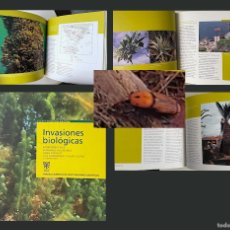 Libros de segunda mano: INVASIONES BIOLÓGICAS (PLANTAS INVASORAS; MEJILLÓN CEBRA, HORMIGA ARGENTINA; PICUDO ROJO; CANGREJO