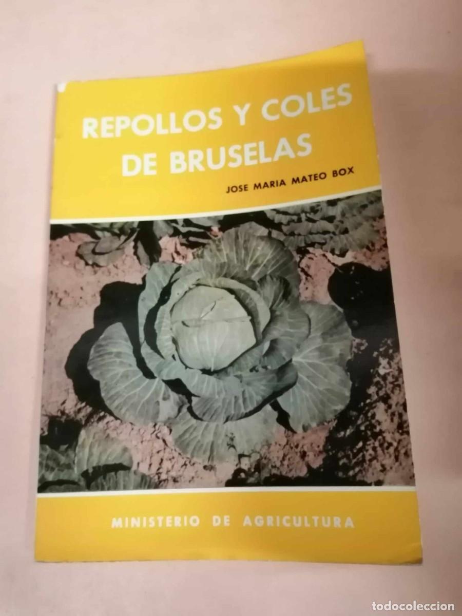 Libros de segunda mano: REPOLLOS Y COLES DE BRUSELAS (JOSE MARIA MATEO BOX) - Foto 1