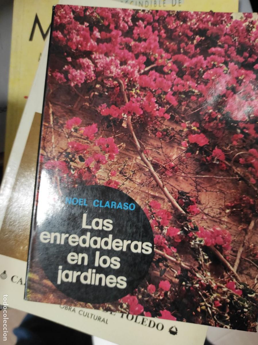 Libros de segunda mano: LAS ENREDADERAS EN LOS JARDINES. - CLARASO, NOEL. - Foto 1