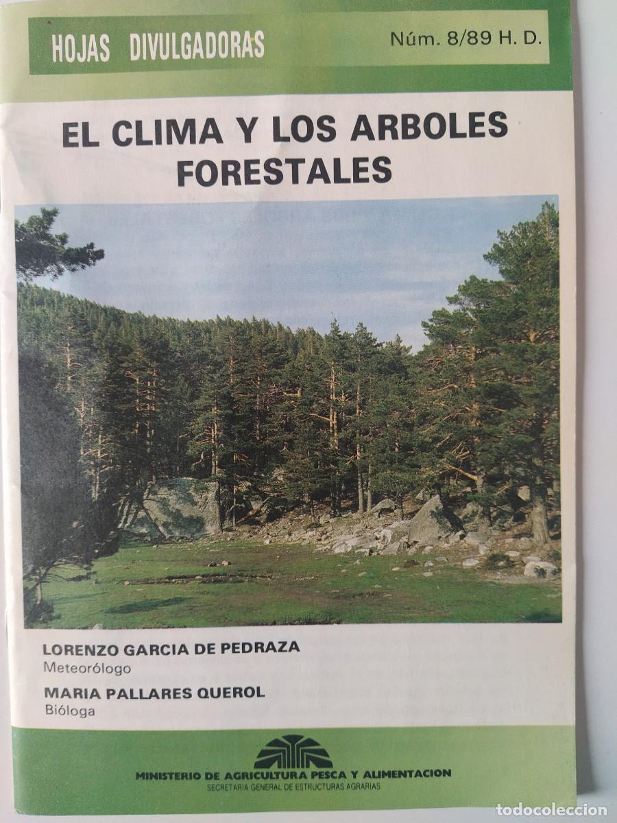 Libros de segunda mano: EL CLIMA Y LOS ARBOLES FORESTALES, L. G DE PEDRAZA y M. PALLARES, HOJAS DIVULGADORAS 8/89
