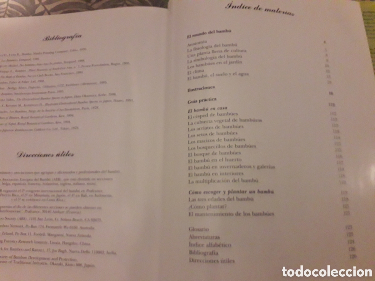 Libros de segunda mano: BAMB&Uacute;ES, YVES CROUCET, - Foto 5