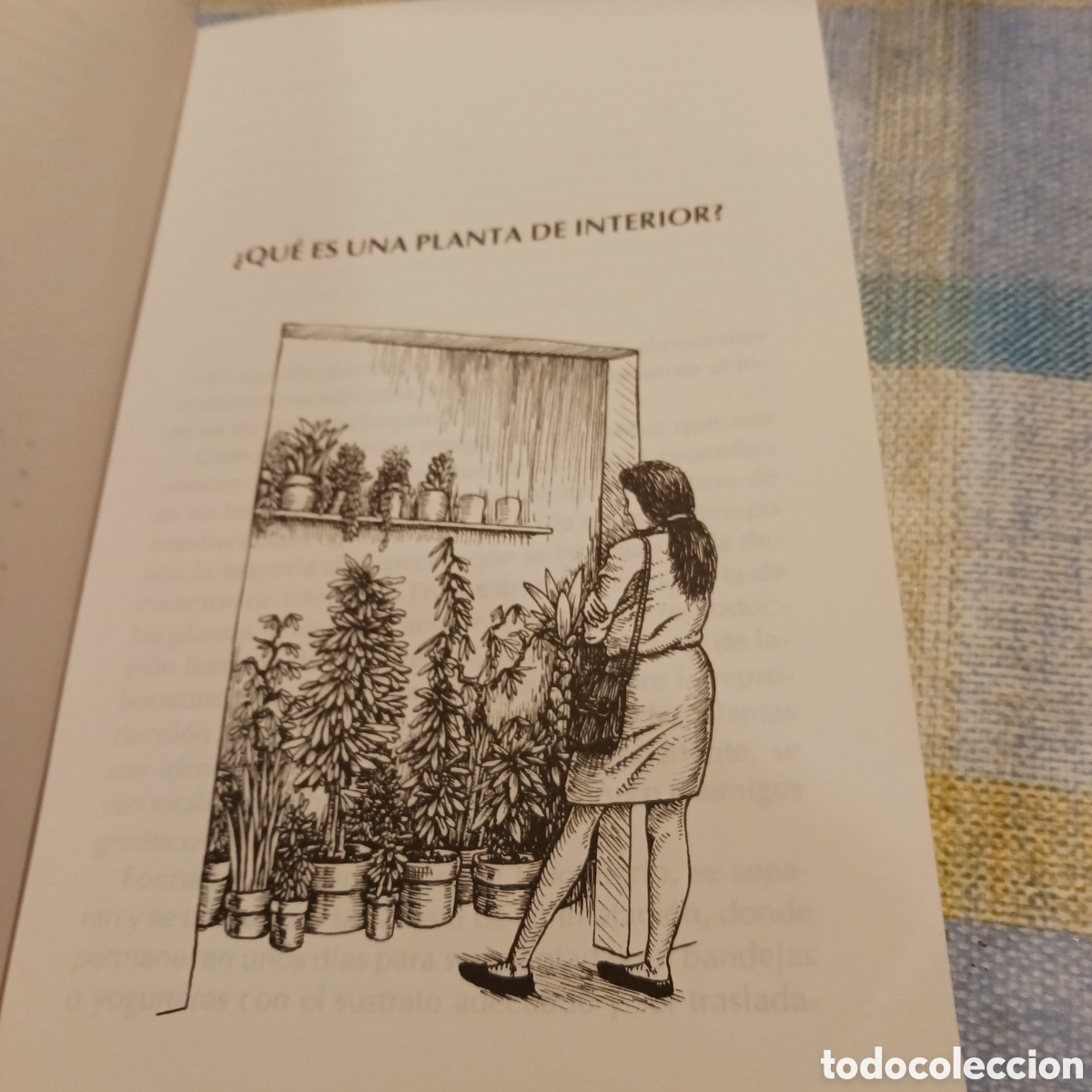 Libros de segunda mano: Plantas de Interior: 250 trucos de Carlos Herrera - Foto 3
