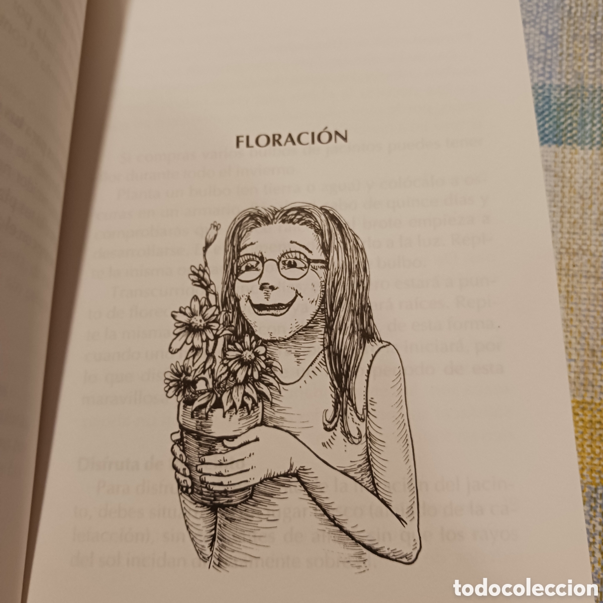 Libros de segunda mano: Plantas de Interior: 250 trucos de Carlos Herrera - Foto 4