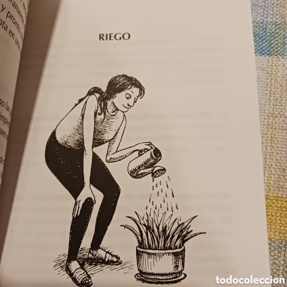 Libros de segunda mano: Plantas de Interior: 250 trucos de Carlos Herrera - Foto 5