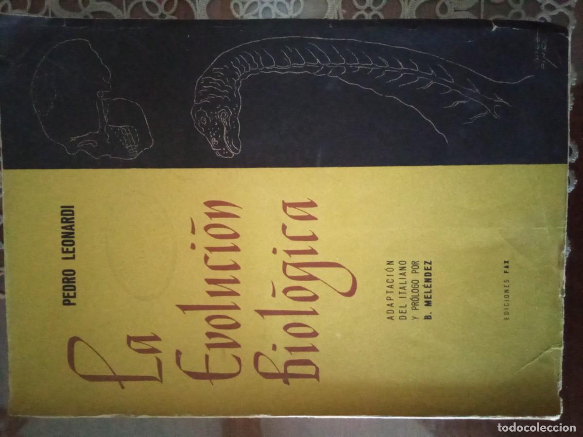 Libros de segunda mano: La evoluci&oacute;n biol&oacute;gica. Pedro Leonardi. - Foto 1