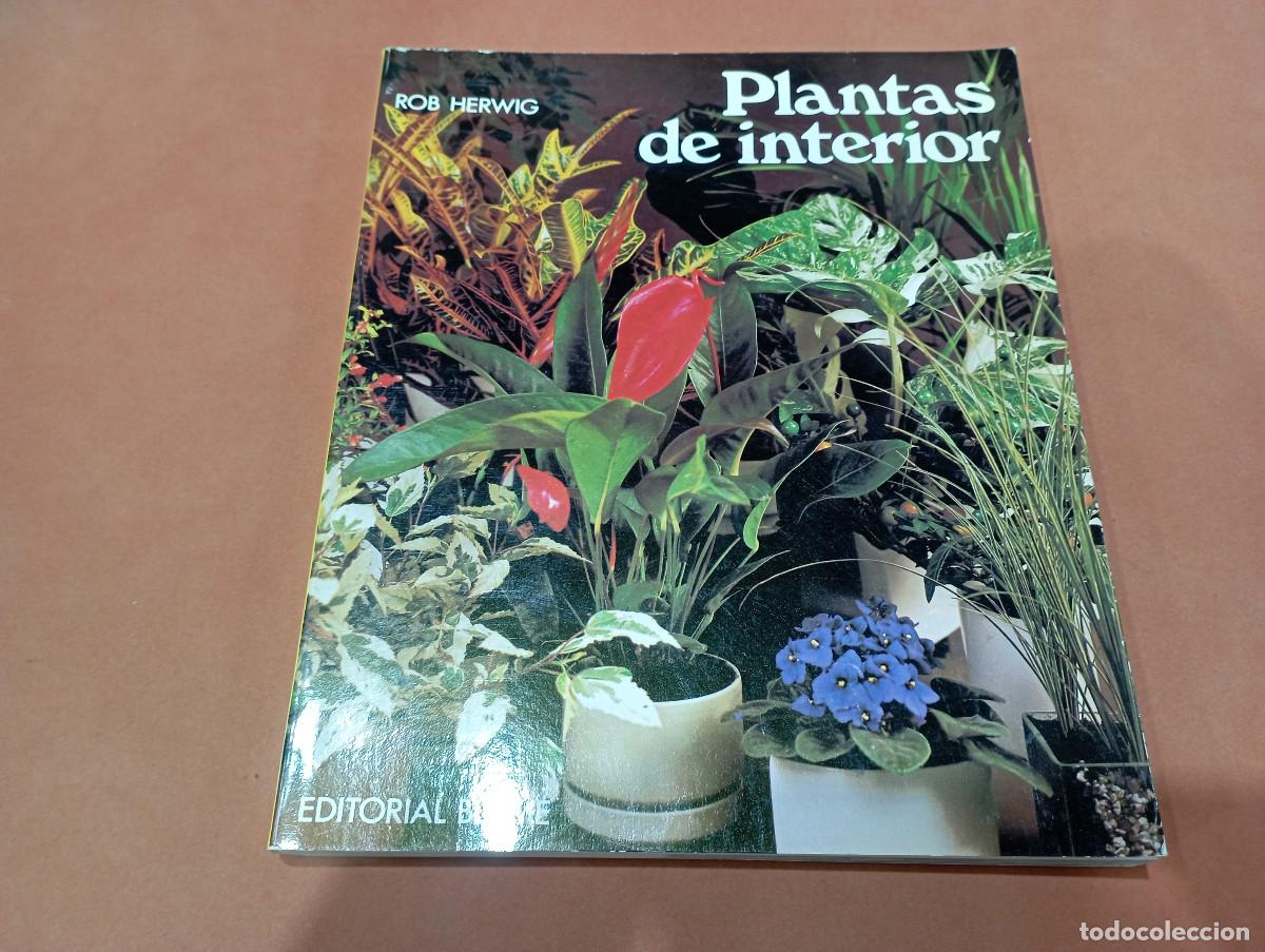 Libros de segunda mano: Plantas de interior - Rob Herwig - editorial Blume - JDB - Foto 1